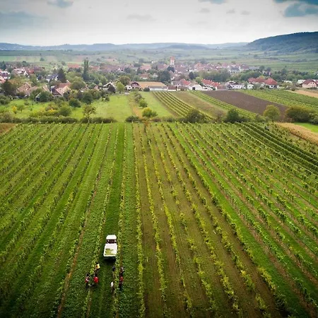 Guest house Weingut Familie Krell